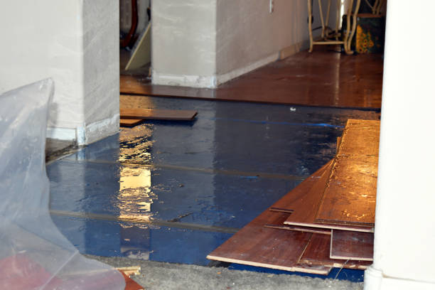 Professional Burst Pipe Cleanup technician working in Hackensack, NJ